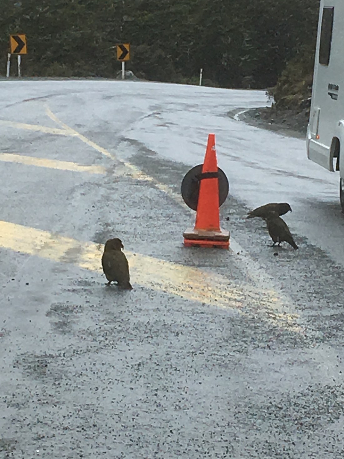 1737AD39-2DD9-4D74-A8FB-CA4CD3C02F1C