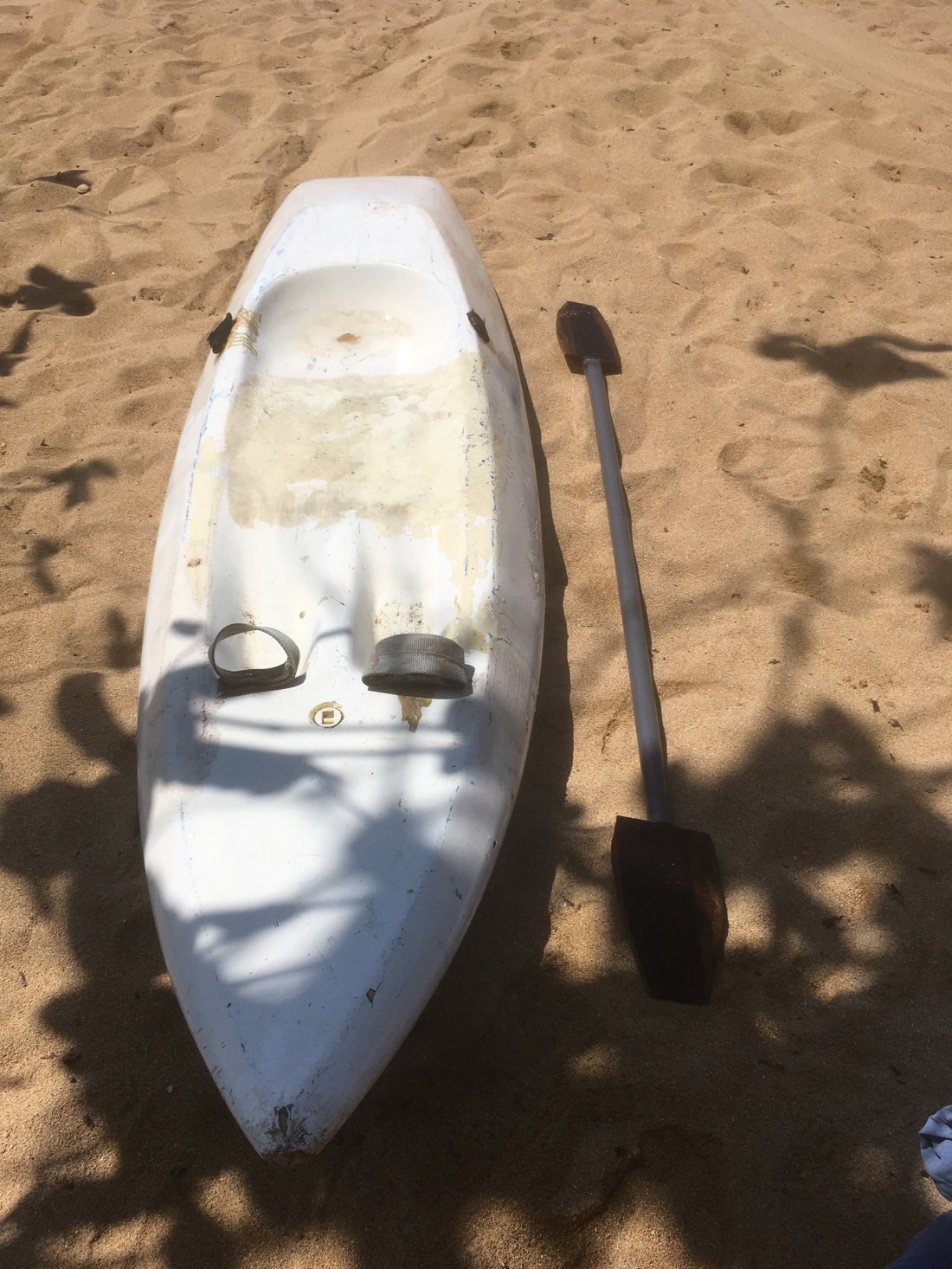 24CB0C9E-0FFA-4D3B-B734-34E50B9E0935