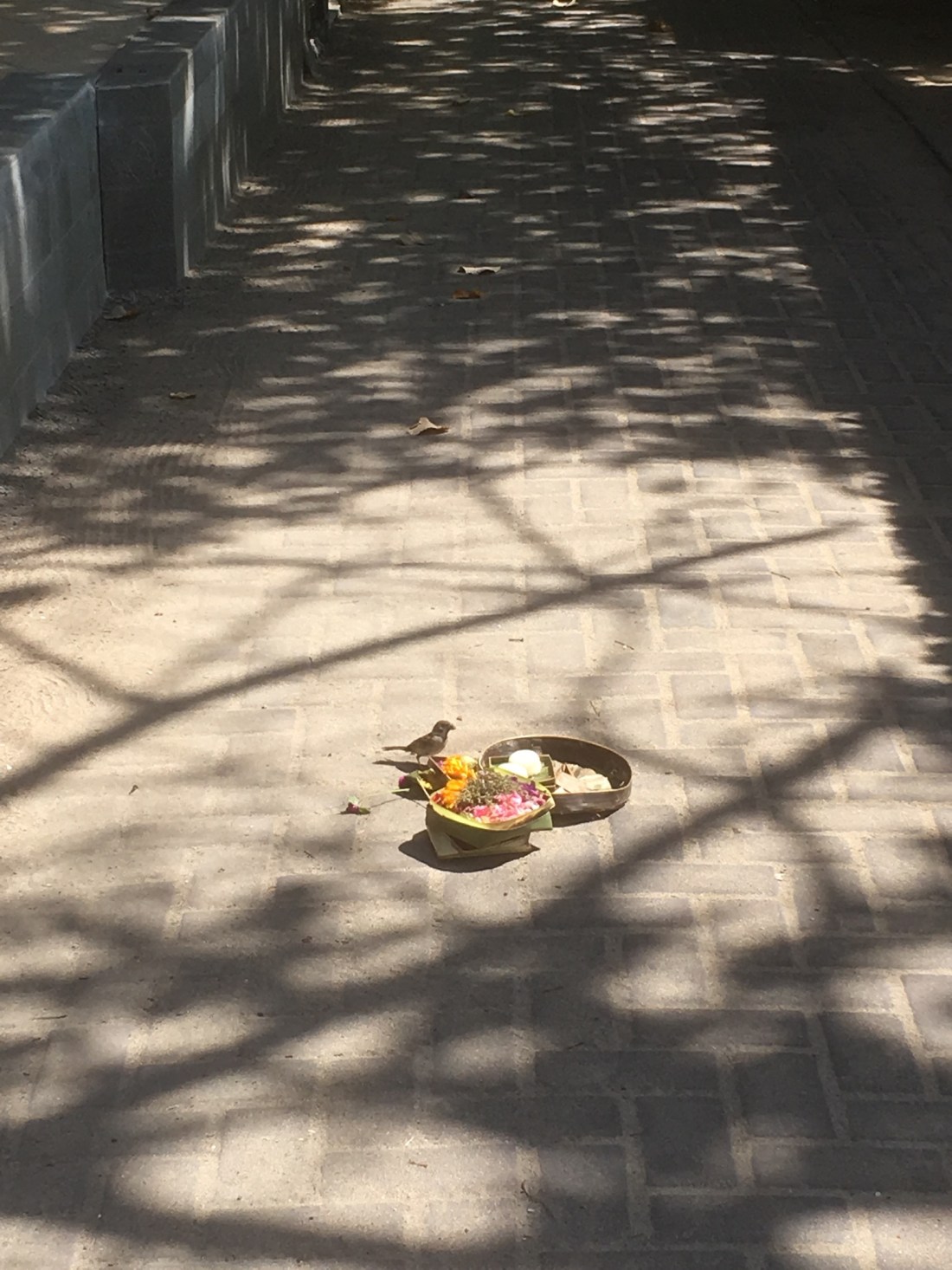 D5203CC9-C947-46E4-8000-E87074B8BD69